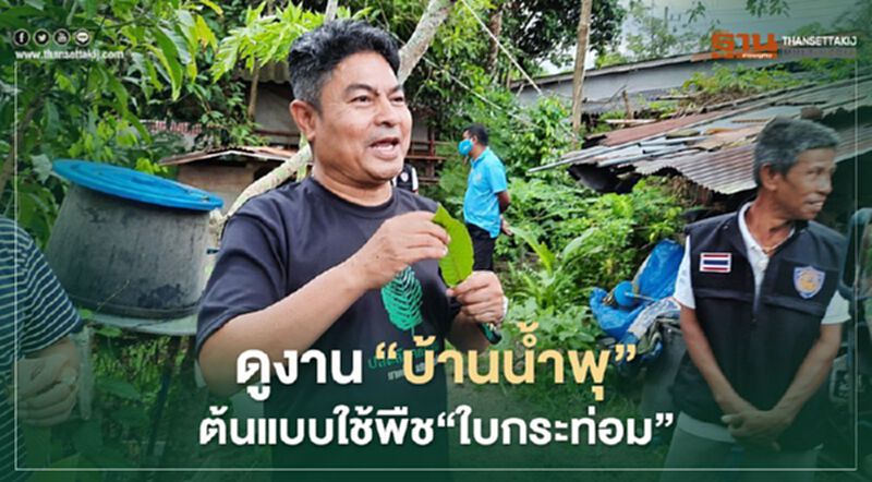 “บ้านน้ำพุ” ต้นแบบใช้พืช “ใบกระท่อม” “บ้านน้ำพุ” ต้นแบบใช้พืช “ใบกระท่อม”