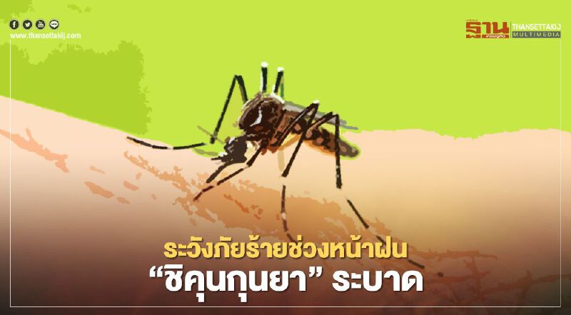  “ชิคุนกุนยา” โรคไข้ปวดข้อยุงลายระบาด ป่วยแล้ว 5,728 ราย ใน 65 จังหวัด   