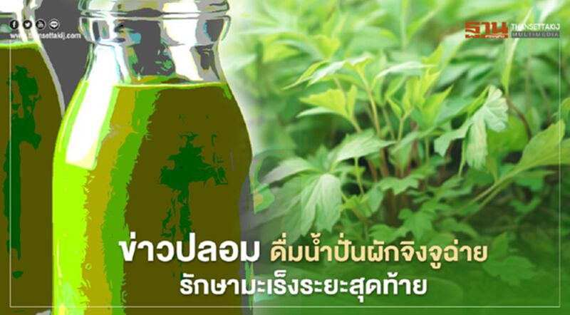 ข่าวปลอม! รักษามะเร็งระยะสุดท้าย ด้วยการดื่มน้ำปั่นผักจิงจูฉ่าย ข่าวปลอม! รักษามะเร็งระยะสุดท้าย ด้วยการดื่มน้ำปั่นผักจิงจูฉ่าย