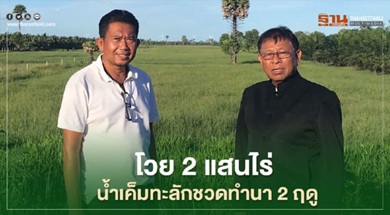 โวย 2 แสนไร่ น้ำเค็มทะลักชวดทำนา 2 ฤดู โวย 2 แสนไร่ น้ำเค็มทะลักชวดทำนา 2 ฤดู