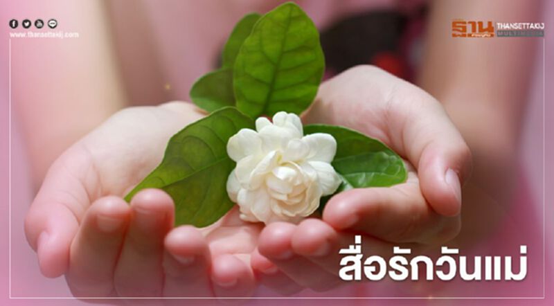 "ดอกมะลิ" สื่อรักวันแม่ 12 สิงหาคม "ดอกมะลิ" สื่อรักวันแม่ 12 สิงหาคม