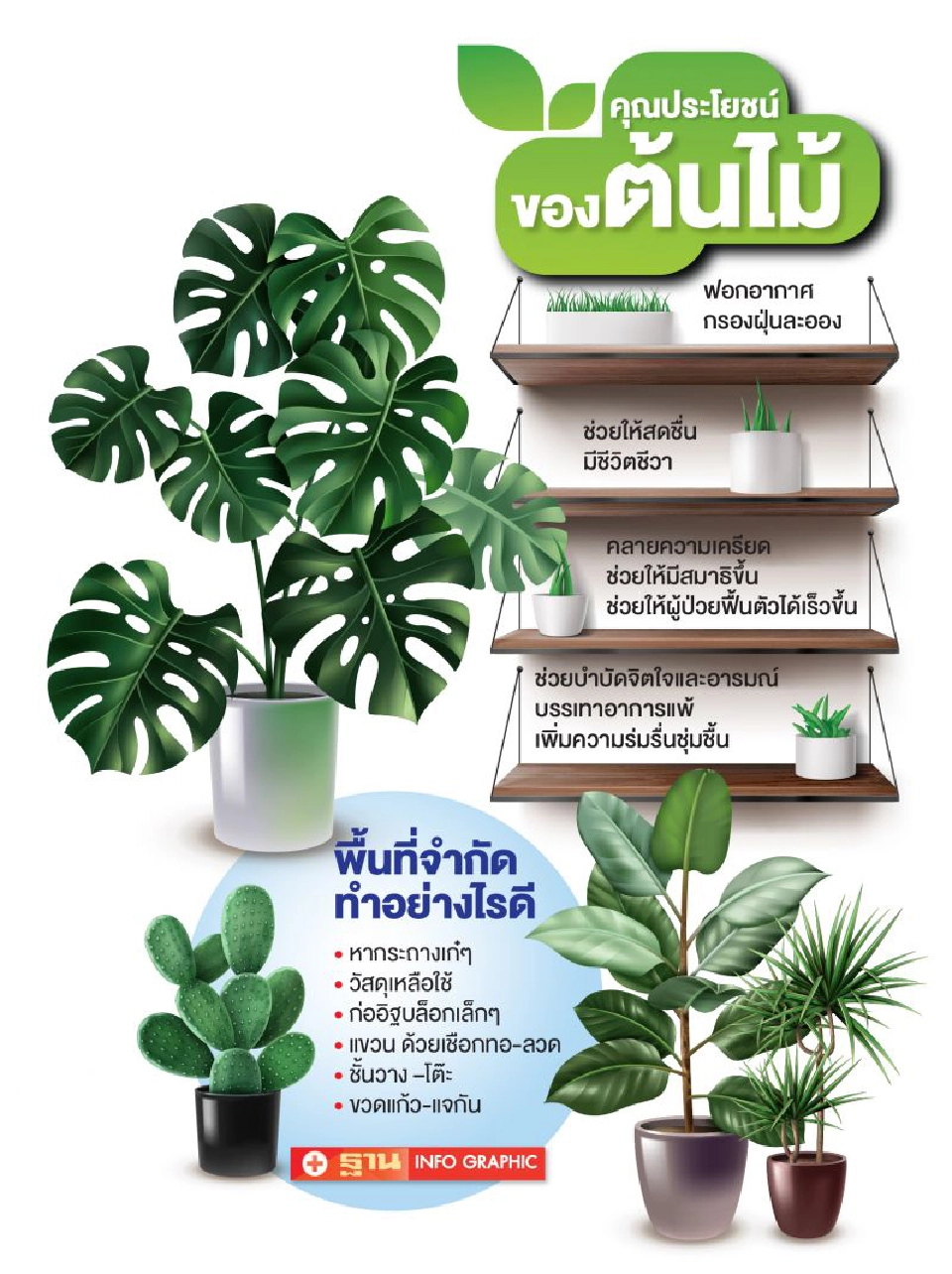 รู้ยัง?มีต้นไม้ไว้ใกล้ตัว ดีต่อใจ...ดีต่อสุขภาพ