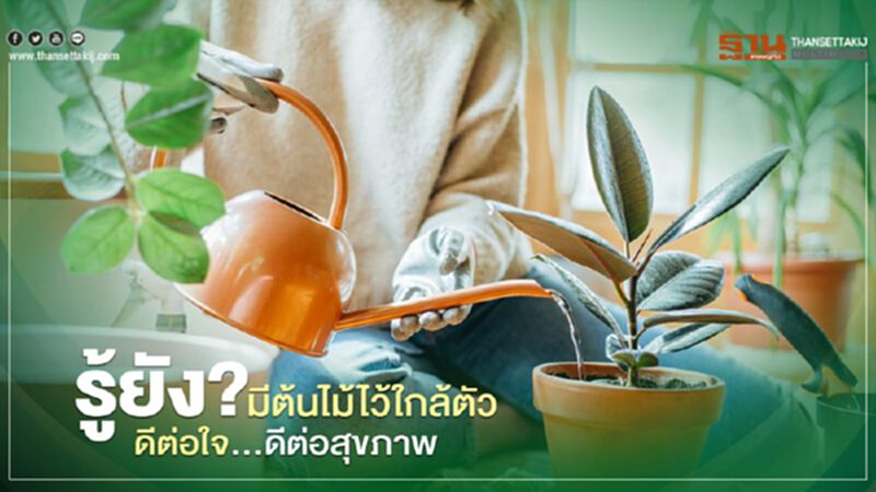 รู้ยัง?มีต้นไม้ไว้ใกล้ตัว ดีต่อใจ...ดีต่อสุขภาพ รู้ยัง?มีต้นไม้ไว้ใกล้ตัว ดีต่อใจ...ดีต่อสุขภาพ