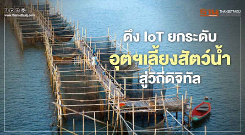 ดึง IoT ยกระดับ อุตฯเลี้ยงสัตว์นํ้า สู่วิถีดิจิทัล ดึง IoT ยกระดับ อุตฯเลี้ยงสัตว์นํ้า สู่วิถีดิจิทัล