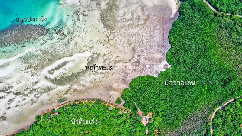 เเวะเที่ยวทะเลใต้เชิงอนุรักษ์