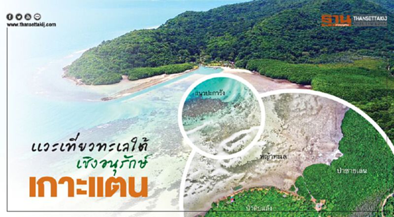 เเวะเที่ยวทะเลใต้เชิงอนุรักษ์ เเวะเที่ยวทะเลใต้เชิงอนุรักษ์