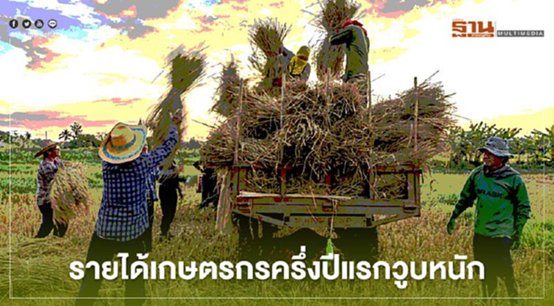รายได้เกษตรกรครึ่งปีแรกวูบหนัก รายได้เกษตรกรครึ่งปีแรกวูบหนัก