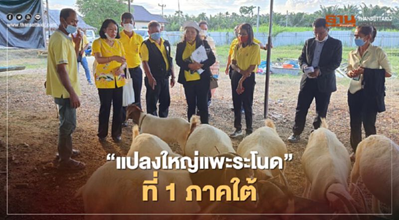 "แปลงใหญ่แพะระโนด"ที่1ภาคใต้ "แปลงใหญ่แพะระโนด"ที่1ภาคใต้