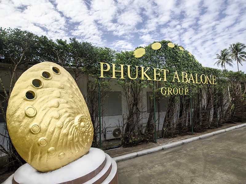 “หมอเหมือง”นำ AOVAเข้าTEDFund ขอคำปรึกษา-รับทุนทดลองบุกตลาดจีน