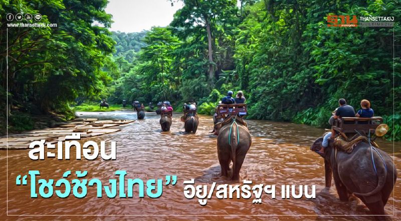 สะเทือน “โชว์ช้างไทย” อียู/สหรัฐฯ แบน