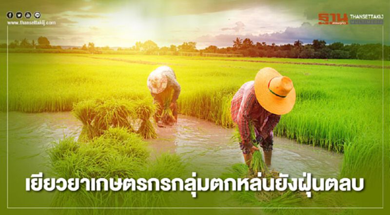 ตรวจสอบสิทธิ์www.เยียวยาเกษตรกร.com กลุ่มตกหล่นยังฝุ่นตลบ ตรวจสอบสิทธิ์www.เยียวยาเกษตรกร.com กลุ่มตกหล่นยังฝุ่นตลบ