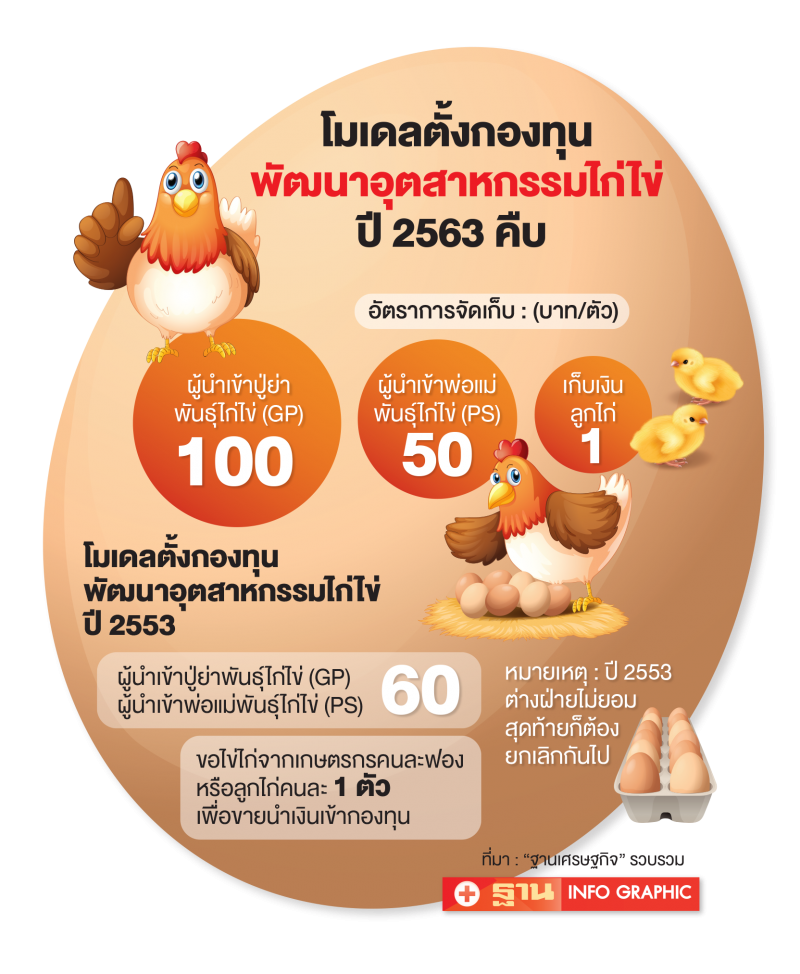 กองทุนไก่ไข่วุ่น  16บิ๊กนำเข้า งัดข้อ เกษตรกรใครจ่ายก่อน