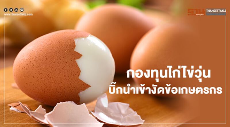 กองทุนไก่ไข่วุ่น 16บิ๊กนำเข้า งัดข้อ เกษตรกรใครจ่ายก่อน กองทุนไก่ไข่วุ่น 16บิ๊กนำเข้า งัดข้อ เกษตรกรใครจ่ายก่อน