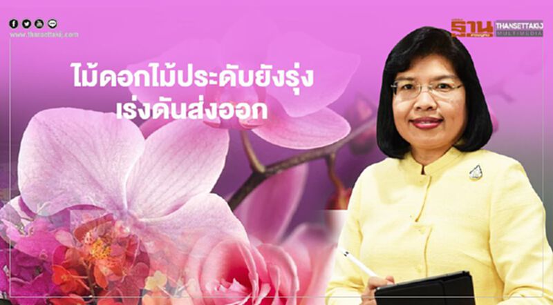 ไม้ดอกไม้ประดับยังรุ่ง เร่งดันส่งออก17ประเทศ ไม้ดอกไม้ประดับยังรุ่ง เร่งดันส่งออก17ประเทศ