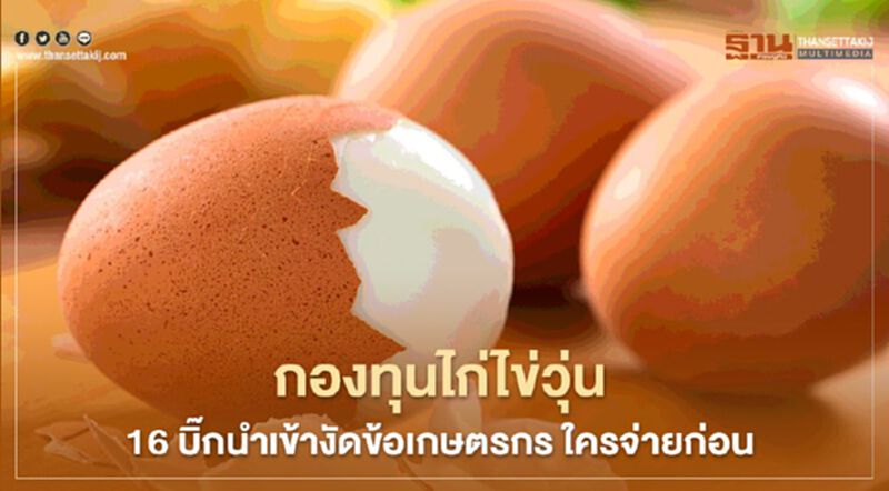 กองทุนไก่ไข่วุ่น 16 บิ๊กนำเข้างัดข้อเกษตรกร ใครจ่ายก่อน กองทุนไก่ไข่วุ่น 16 บิ๊กนำเข้างัดข้อเกษตรกร ใครจ่ายก่อน
