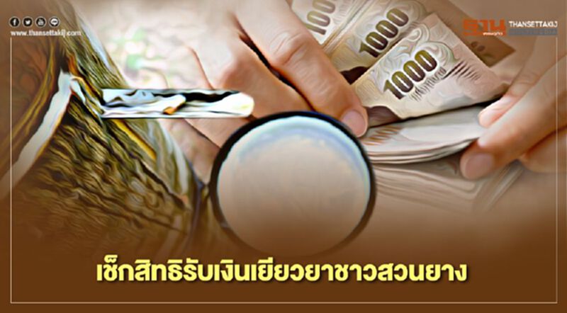เช็กสิทธิรับเงินเยียวยาชาวสวนยาง เช็กสิทธิรับเงินเยียวยาชาวสวนยาง