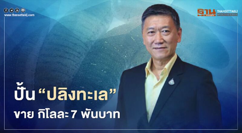 ปั้น “ปลิงทะเล” ขาย กิโลละ 7 พันบาท ปั้น “ปลิงทะเล” ขาย กิโลละ 7 พันบาท