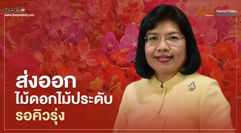 ส่งออกไม้ดอกไม้ประดับรอคิวรุ่ง ส่งออกไม้ดอกไม้ประดับรอคิวรุ่ง