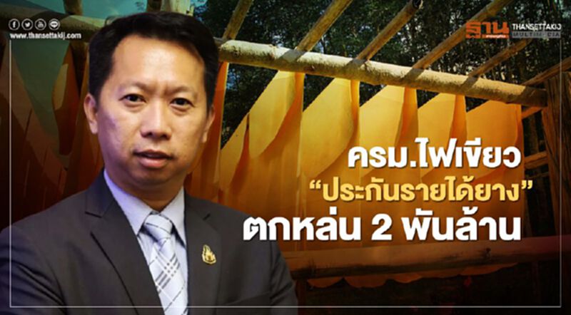 ครม.ไฟเขียวประกันรายได้ยาง กลุ่มตกหล่น กว่า 2 พันล้าน ครม.ไฟเขียวประกันรายได้ยาง กลุ่มตกหล่น กว่า 2 พันล้าน