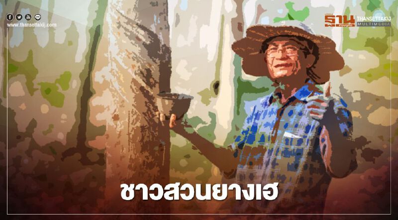 ครม.เคาะงบเพิ่ม 2,400 ล้านประกันรายได้ชาวสวนยาง