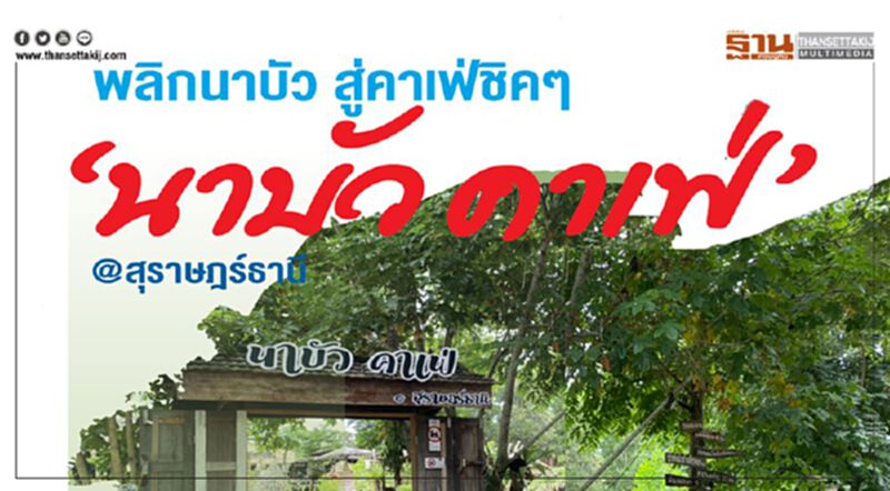 พลิกนาบัว สู่คาเฟ่ชิคๆ "นาบัว คาเฟ่ @สุราษฎร์ธานี" พลิกนาบัว สู่คาเฟ่ชิคๆ "นาบัว คาเฟ่ @สุราษฎร์ธานี"