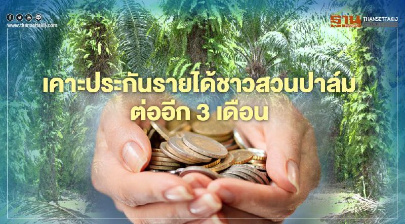 เฮ คนป. เคาะประกันรายได้ชาวสวนปาล์มต่ออีก 3 เดือน