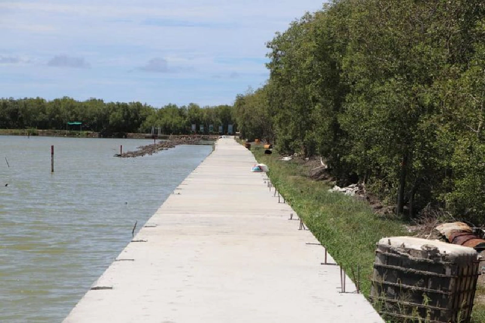 "กทม." พัฒนา  ป่าชายเลน ชายทะเล บางขุนเทียน  