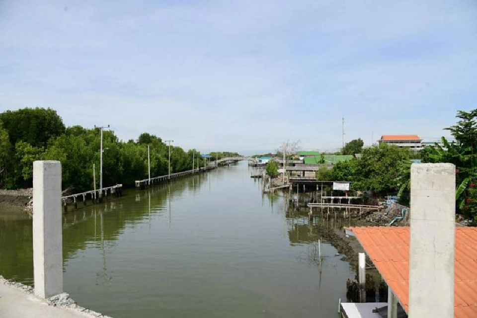 "กทม." พัฒนา  ป่าชายเลน ชายทะเล บางขุนเทียน  