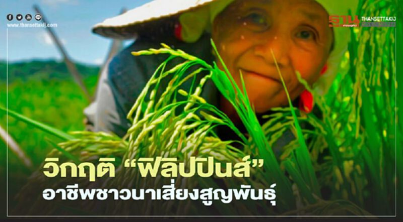 วิกฤติ “ฟิลิปปินส์” อาชีพชาวนาเสี่ยงสูญพันธุ์ วิกฤติ “ฟิลิปปินส์” อาชีพชาวนาเสี่ยงสูญพันธุ์