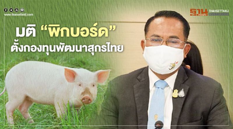 มติ "พิกบอร์ด" ตั้งกองทุนพัฒนาสุกรไทย มติ "พิกบอร์ด" ตั้งกองทุนพัฒนาสุกรไทย