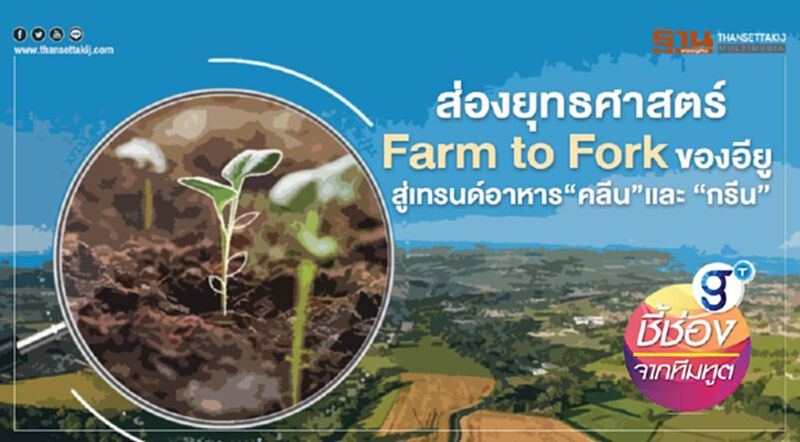 ส่องยุทธศาสตร์ Farm to Fork ของอียู สู่เทรนด์อาหาร ‘คลีน’ และ ‘กรีน’ ส่องยุทธศาสตร์ Farm to Fork ของอียู สู่เทรนด์อาหาร ‘คลีน’ และ ‘กรีน’