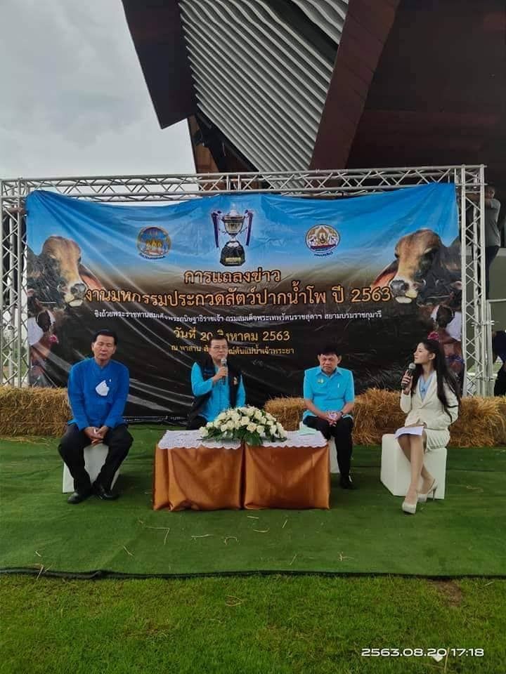งานใหญ่ "ประกวดสัตว์-อาชาพาเที่ยว"ปากน้ำโพ