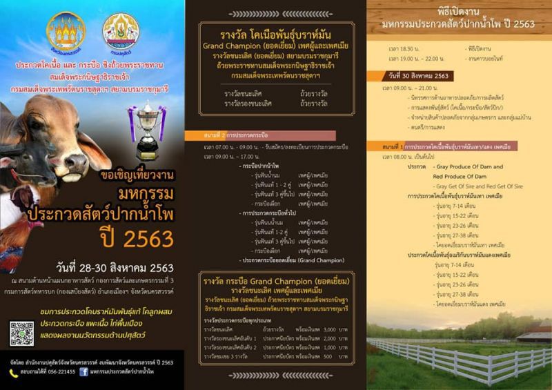 งานใหญ่ "ประกวดสัตว์-อาชาพาเที่ยว"ปากน้ำโพ