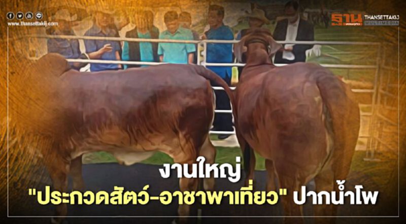 งานใหญ่ "ประกวดสัตว์-อาชาพาเที่ยว"ปากน้ำโพ งานใหญ่ "ประกวดสัตว์-อาชาพาเที่ยว"ปากน้ำโพ