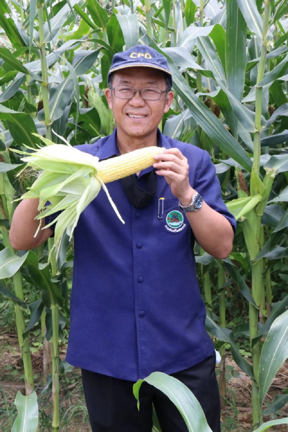 อัชฌา สุวรรณนิตย์ 