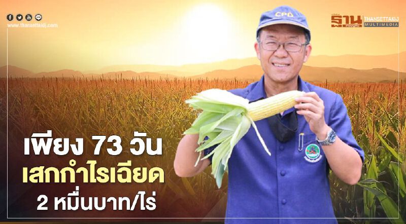 ปลูกข้าวโพดหวานเพียง 73 วัน เสกกำไรเฉียด 2 หมื่นบาท/ไร่ ปลูกข้าวโพดหวานเพียง 73 วัน เสกกำไรเฉียด 2 หมื่นบาท/ไร่