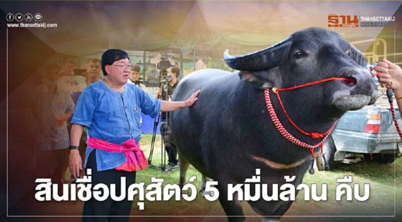 สินเชื่อปศุสัตว์ 5 หมื่นล้าน คืบ สินเชื่อปศุสัตว์ 5 หมื่นล้าน คืบ