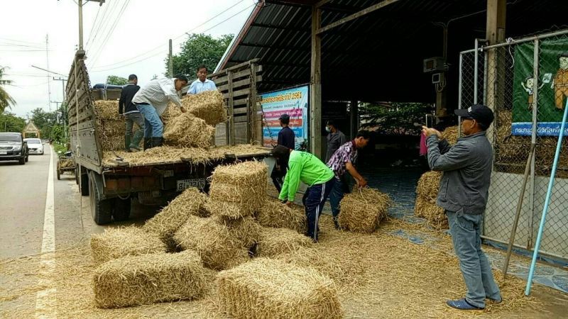 ปศุสัตว์ขานรับ “เฉลิมชัย”เร่งเข้าช่วยเกษตรกรถูกน้ำท่วม