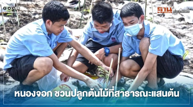 หนองจอก ชวนปลูกต้นไม้ที่สาธารณะ แสนต้น หนองจอก ชวนปลูกต้นไม้ที่สาธารณะ แสนต้น