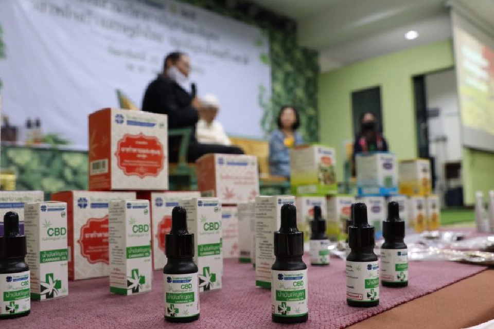 หนุน "กัญชา-กัญชง"สู่การแพทย์-เล็งต่อยอดพืชสร้างเศรษฐกิจชาติ