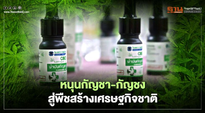 หนุน "กัญชา-กัญชง"สู่การแพทย์-เล็งต่อยอดพืชสร้างเศรษฐกิจชาติ หนุน "กัญชา-กัญชง"สู่การแพทย์-เล็งต่อยอดพืชสร้างเศรษฐกิจชาติ