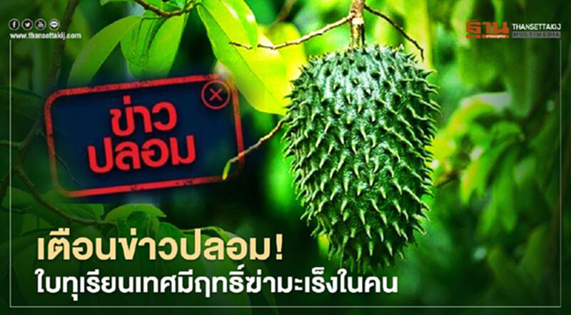 เตือนข่าวปลอม “ใบทุเรียนเทศมีฤทธิ์ฆ่ามะเร็งในคน” เตือนข่าวปลอม “ใบทุเรียนเทศมีฤทธิ์ฆ่ามะเร็งในคน”