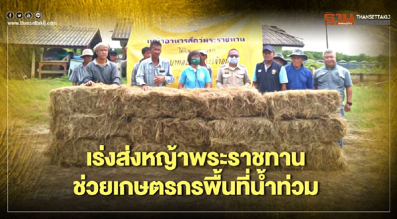 กรมปศุสัตว์เร่งส่งหญ้าพระราชทานช่วยเกษตรกรพื้นที่น้ำท่วมพิษ "พายุ" กรมปศุสัตว์เร่งส่งหญ้าพระราชทานช่วยเกษตรกรพื้นที่น้ำท่วมพิษ "พายุ"