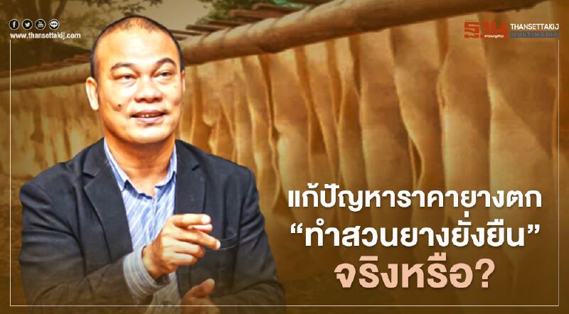 แก้ปัญหาราคายางตก “ทำสวนยางยั่งยืน” จริงหรือ?