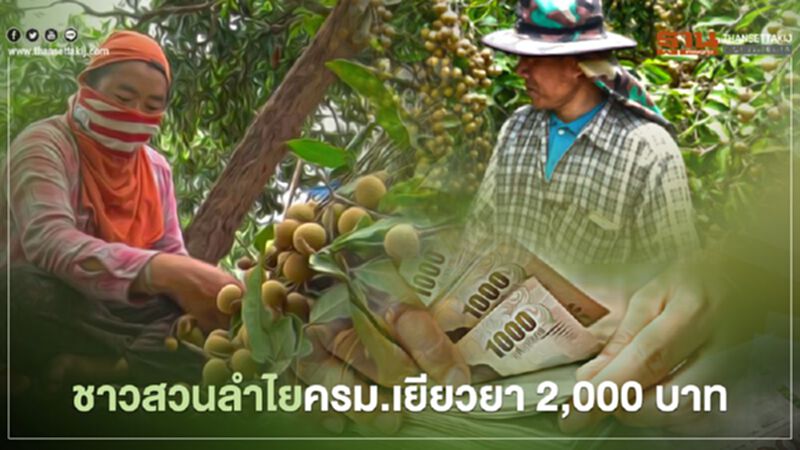 ครม.เคาะ"เยียวยาเกษตรกร" สวนลำไย 2,000 บาท ครม.เคาะ"เยียวยาเกษตรกร" สวนลำไย 2,000 บาท