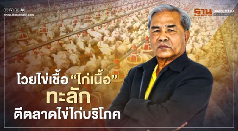 โวยไข่เชื้อ “ไก่เนื้อ” ทะลักตีตลาดไข่ไก่บริโภค โวยไข่เชื้อ “ไก่เนื้อ” ทะลักตีตลาดไข่ไก่บริโภค