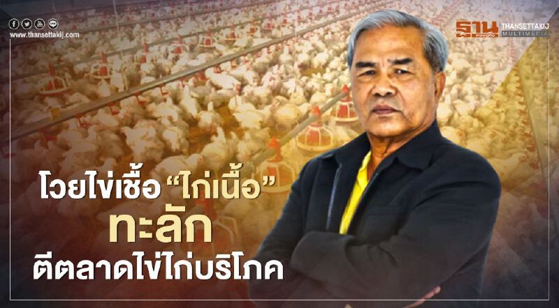 โวยไข่เชื้อ “ไก่เนื้อ” ทะลักตีตลาดไข่ไก่บริโภค