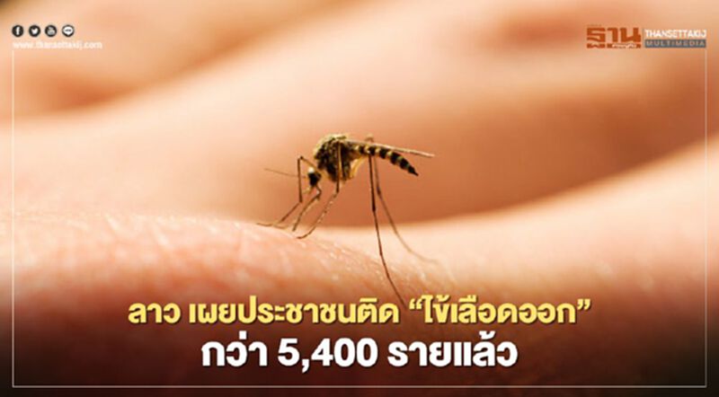 ลาว เผยประชาชนติด"ไข้เลือดออก"กว่า 5,400 รายแล้ว ลาว เผยประชาชนติด"ไข้เลือดออก"กว่า 5,400 รายแล้ว