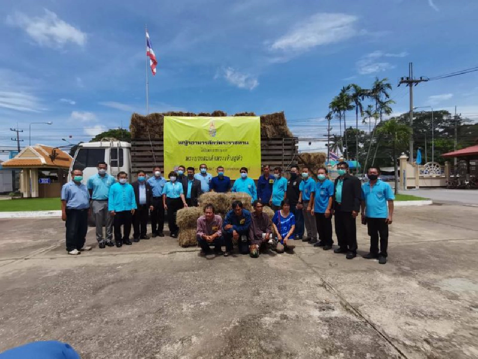 คิกออฟฉีดวัคซีนป้องกันโรคเฮโมรายิกเซพติซีเมีย