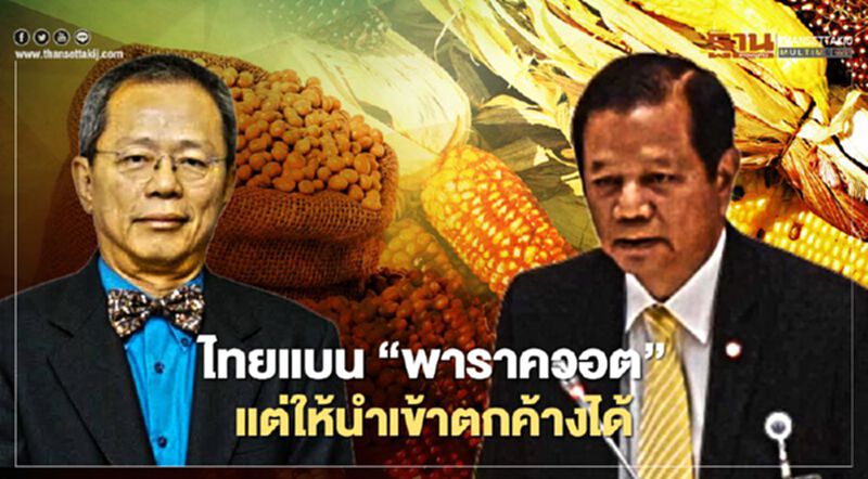 วิพากษ์ ไทยแบน “พาราควอต” แต่ให้นำเข้าตกค้างได้ วิพากษ์ ไทยแบน “พาราควอต” แต่ให้นำเข้าตกค้างได้